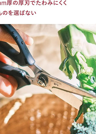 Kitchen Scissors (DH-3005)