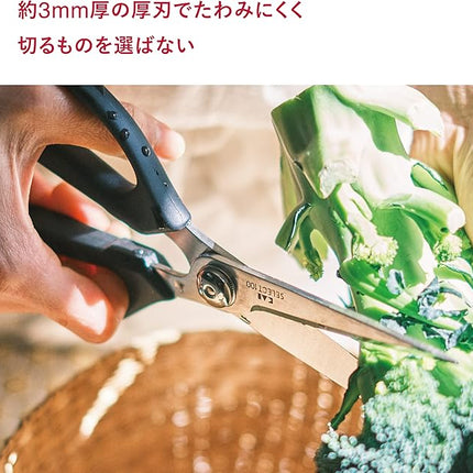 Kitchen Scissors (DH-3005)