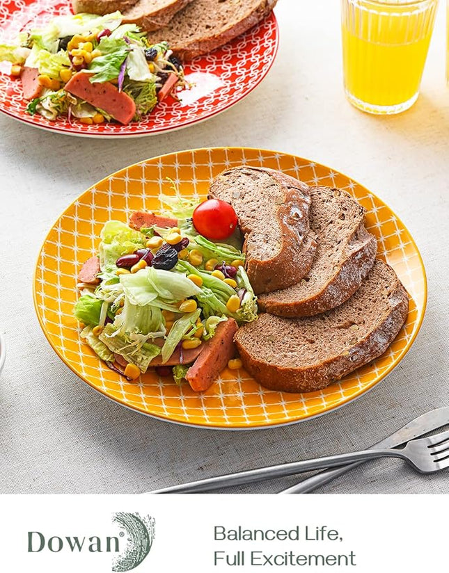 DOWAN 10" Colorful Dinner Plates Set of 6, Ceramic Dessert Plates Set for Salad, Pasta, Steak - Appetizer Plates, Dining Serving Plates for Parties, Restaurant - Dishwasher & Microwave Safe - Gifts