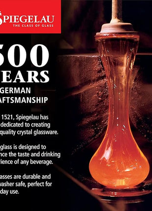 Spiegelau IPA Beer Glasses, European Made Drinking Glass for Craft Beers, Cocktails, Sodas, Iced Beverages, Smoothies, Milkshakes, Kitchen Glassware, Home Bar Accessories19.1 oz, Set of 6