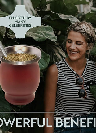Norte Yerba Mate Cup Kit, 8-Ounces Traditional Mate Tea Cup/Gourd Set | Includes 2 Bombillas (Yerba Mate Straw) & Cleaning Brush, Stainless Steel Cup, Double-Walled, Easy to Clean | Burgundy