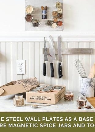 Gneiss Spice Stainless Finish Wall Plate Base for Magnetic Spice Jars, Small 6x8 Inches (Jars Not Included)