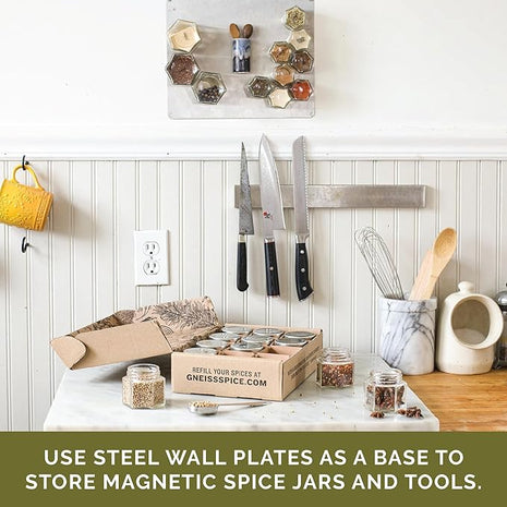 Gneiss Spice Stainless Finish Wall Plate Base for Magnetic Spice Jars, Medium 10x12 Inches (Jars Not Included)