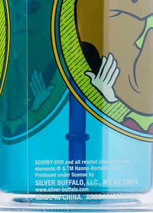 Silver Buffalo Scooby-Doo Plastic Tall Cold Cup with Lid and Straw Featuring Scooby-Doo and Shaggy, 20 Ounces