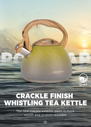 POLIVIAR Tea Kettle, 2.7 Quart Stovetop Tea Kettle, Audible Whistling Teapot with Crackle Finish, Food Grade Stainless Steel for Anti-Rust, Anti Hot Handle, Suitable for All Heat Sources (JX2023-LYG)