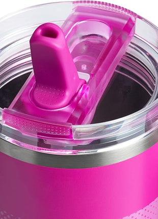 STANLEY Quencher ProTour Flip Straw Tumbler with Leakproof Lid | Built-In Straw & Handle | Cupholder Compatible for Travel | Insulated Stainless Steel Cup | BPA-Free