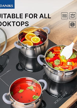 Daniks Modern 6-Piece Stainless Steel Induction Cookware Set – Dishwasher Safe Pots with Heatproof Handles, Glass Lids, Silver