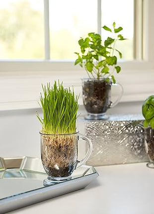 Anchor Hocking Café Glass Coffee Mugs, 16 oz, Set of 6