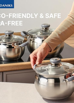 Daniks Modern 6-Piece Stainless Steel Induction Cookware Set – Dishwasher Safe Pots with Heatproof Handles, Glass Lids, Silver