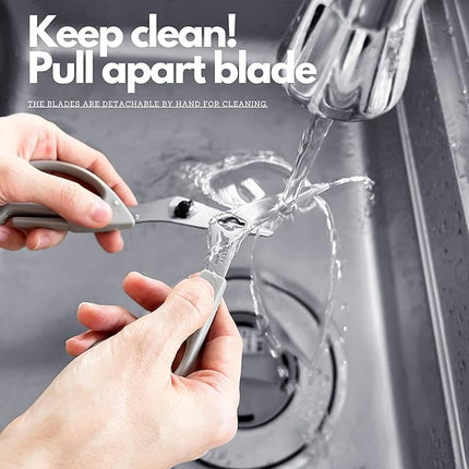 CANARY Japanese Kitchen Shears with Cutter 7.5" Offset Angled Blade, Made in JAPAN, Dishwasher Safe Come Apart Blade, All-Purpose Detachable Kitchen Scissors, Rust Proof Japanese Stainless Steel, Gray