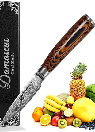 Damascus Paring Knife 3.5" - Professional 67-Layer VG10 Steel, Ultra Sharp 12° Edge Kitchen Utility Knife with Pakkawood Handle & Gift Box for Peeling, Slicing, Garnishing, Fruit Vegetable Prep