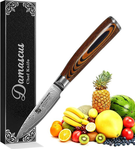 Damascus Paring Knife 3.5" - Professional 67-Layer VG10 Steel, Ultra Sharp 12° Edge Kitchen Utility Knife with Pakkawood Handle & Gift Box for Peeling, Slicing, Garnishing, Fruit Vegetable Prep