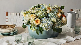 Le Creuset Enameled Cast Iron Signature Oval Dutch Oven, 15.5qt., White