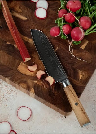 Yatoshi Knives Magnetic Kitchen Knife Block Set - Japanese 67 Layer High-Grade VG-10 Steel Knives, Sharp, Professional Kitchen Knife Set - Damascus (6 pieces), Olive Wood Handles