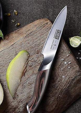 HOSHANHO 3.75 inch Paring Knife, Japanese High Carbon Stainless Steel Small Kitchen Knives, Ultra Sharp Fruit Knife with Ergonomic Pakkawood Handle