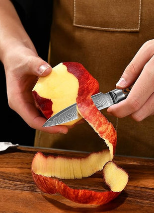 Damascus Paring Knife 3.5" - Professional 67-Layer VG10 Steel, Ultra Sharp 12° Edge Kitchen Utility Knife with Pakkawood Handle & Gift Box for Peeling, Slicing, Garnishing, Fruit Vegetable Prep