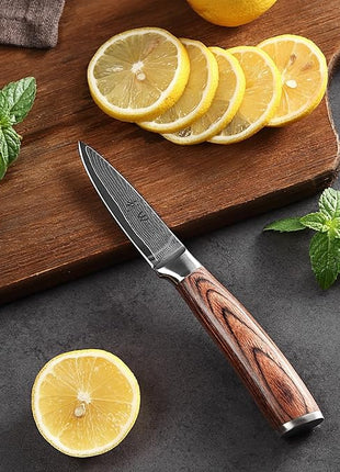 Wakoli EDIB 6-Piece Damascus Knife Set – Professional Chef Knives Set with VG10 Core Blades, 67-Layer Damascus Steel and Ergonomic Pakkawood Handles – Premium Kitchen Knives in Wooden Gift Box