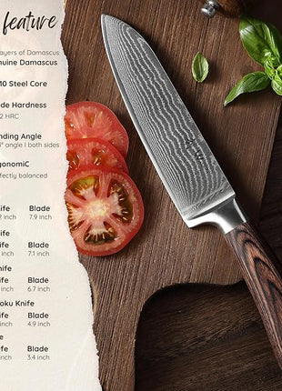 Wakoli EDIB 5-Piece Damascus Knife Set – Professional Chef Knives Set with VG10 Core Blades, 67-Layer Damascus Steel and Ergonomic Pakkawood Handles – Premium Kitchen Knives in Wooden Gift Box