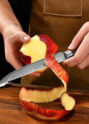 Damascus Utility Knife 5.5" Chef Knife Kitchen VG10 Stainless Steel Core 67-Layer Hand Forged Razor Sharp Edge Ergonomic Handle Precision Slicing Boning Trimming Carving Gift Idea