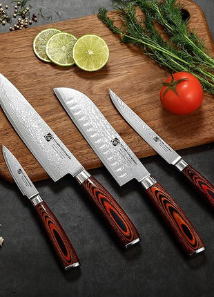 Damascus Paring Knife 3.5" - Professional 67-Layer VG10 Steel, Ultra Sharp 12° Edge Kitchen Utility Knife with Pakkawood Handle & Gift Box for Peeling, Slicing, Garnishing, Fruit Vegetable Prep