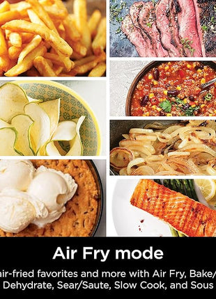 Ninja SF301 Speedi Rapid Cooker & Air Fryer, 6-Quart Capacity, 12-in-1 Functions to Steam, Bake, Roast, Sear, Sauté, Slow Cook, Sous Vide & More, 15-Minute Speedi Meals All In One Pot, Sea Salt Gray