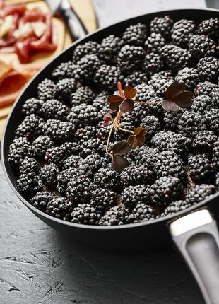 Scanpan Classic Induction 10 1/4 Inch Nonstick Fry Pan – Compatible with All Cooktops, Induction Ready, Metal Utensil Safe, Oven Safe to 500°F, Dishwasher Safe