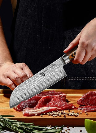 Japanese Santoku Knife 7" Damascus VG10 Stainless Steel 67-Layer Forged Razor Sharp Asian Chef's Knife Pakkawood Handle Precision Slicing Dicing Chopping Meat Fish Vegetables Gift Box