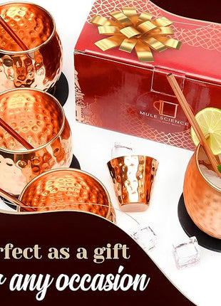 Advanced Mixology [Gift Set] Mule Science Moscow Mule Mugs Set of 4 (19 oz. large size) | 100% Handcrafted | Food Safe | Copper Mugs w/Accessories | Tarnish Resistant Copper Cups