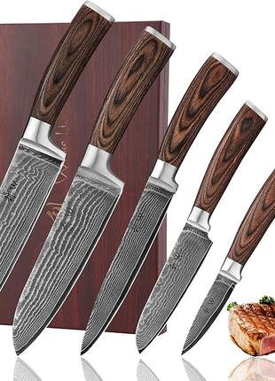 Wakoli EDIB 5-Piece Damascus Knife Set – Professional Chef Knives Set with VG10 Core Blades, 67-Layer Damascus Steel and Ergonomic Pakkawood Handles – Premium Kitchen Knives in Wooden Gift Box