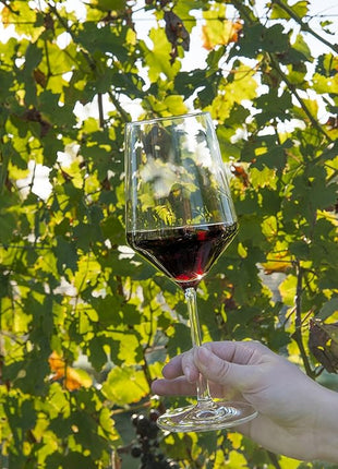 ZWIESEL GLAS Pure Cabernet Red Wine Glass (Set of 4), Graceful Wine Glasses for Red Wine, Dishwasher-Safe Tritan Crystal Glasses, Made in Germany (19 Ounce)