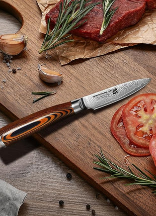 Damascus Paring Knife 3.5" - Professional 67-Layer VG10 Steel, Ultra Sharp 12° Edge Kitchen Utility Knife with Pakkawood Handle & Gift Box for Peeling, Slicing, Garnishing, Fruit Vegetable Prep